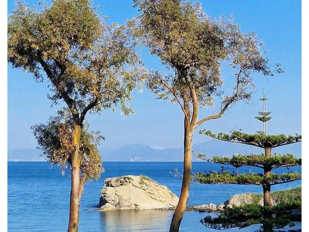 Villa Eden Agropoli Exterior foto